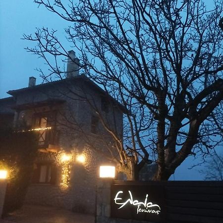Guesthouse Elaia Synikia Mesi Trikalon Екстер'єр фото