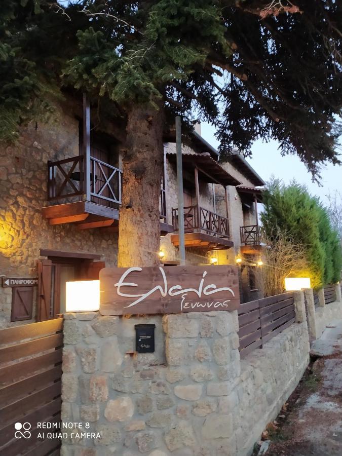 Guesthouse Elaia Synikia Mesi Trikalon Екстер'єр фото