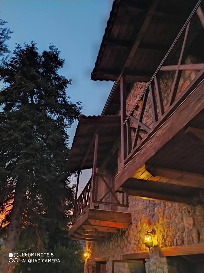 Guesthouse Elaia Synikia Mesi Trikalon Екстер'єр фото