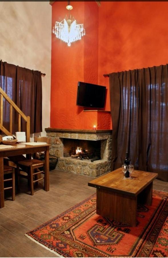 Guesthouse Elaia Synikia Mesi Trikalon Екстер'єр фото