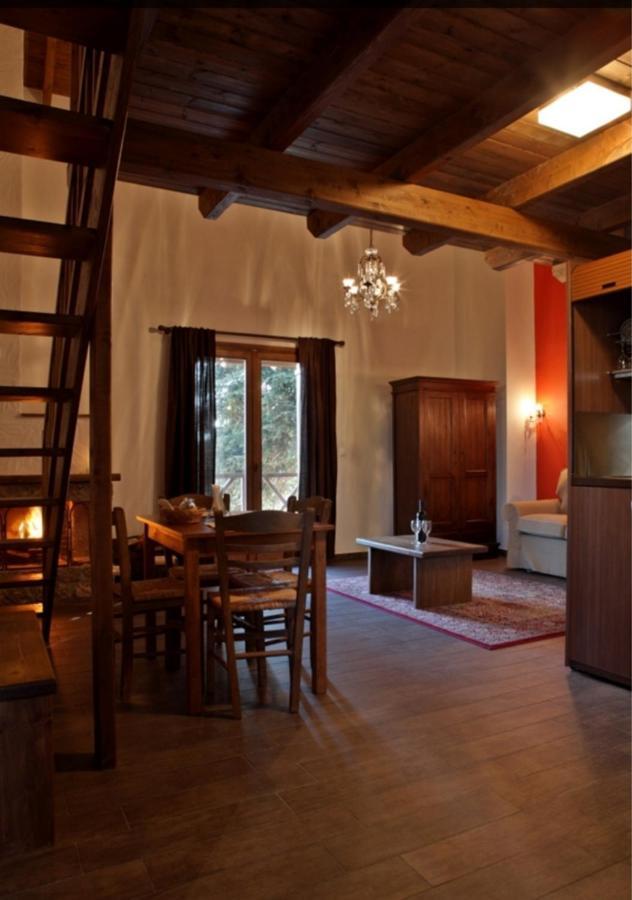 Guesthouse Elaia Synikia Mesi Trikalon Екстер'єр фото
