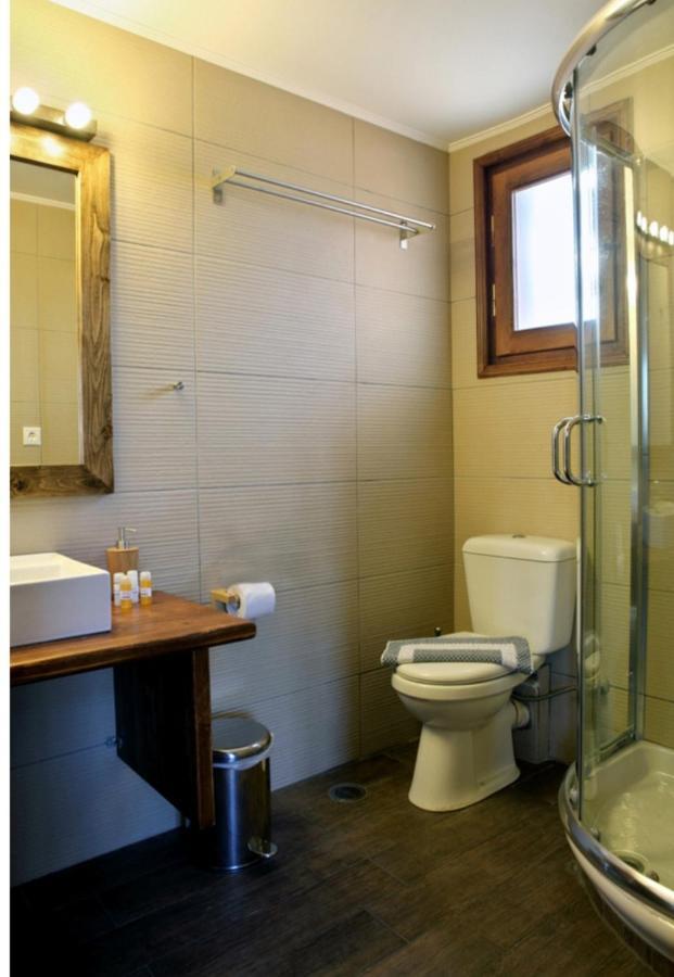 Guesthouse Elaia Synikia Mesi Trikalon Екстер'єр фото