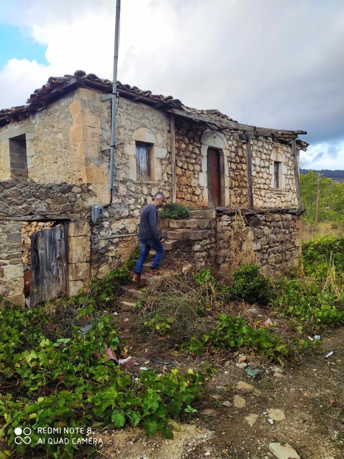 Guesthouse Elaia Synikia Mesi Trikalon Екстер'єр фото