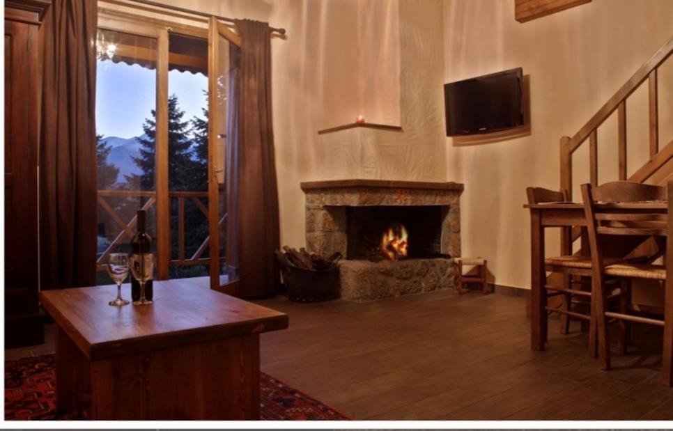 Guesthouse Elaia Synikia Mesi Trikalon Екстер'єр фото
