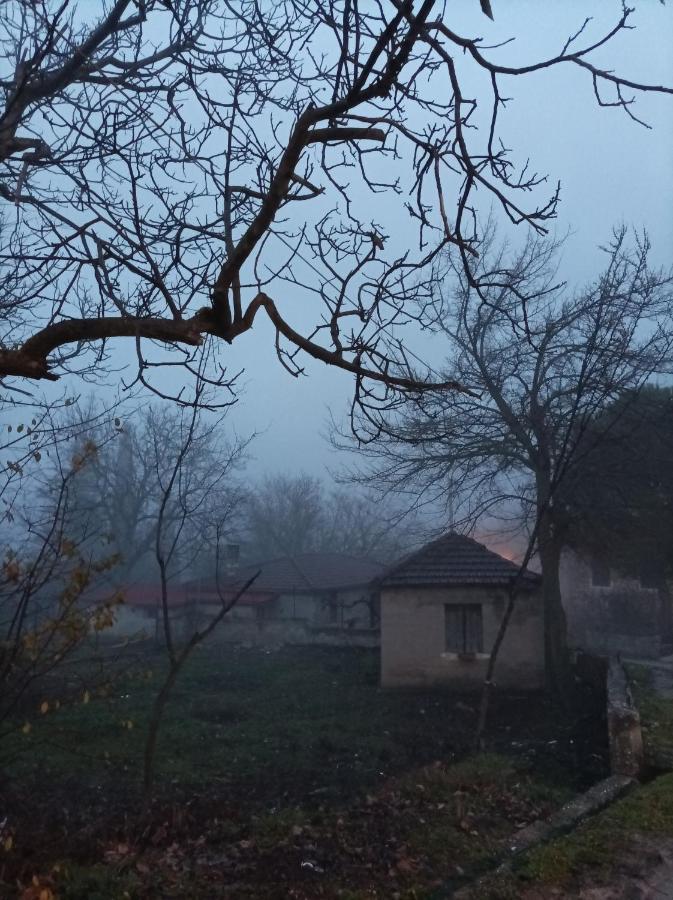 Guesthouse Elaia Synikia Mesi Trikalon Екстер'єр фото