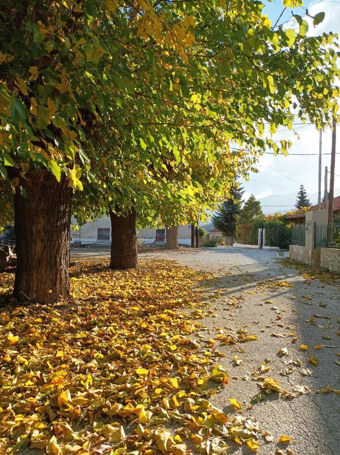 Guesthouse Elaia Synikia Mesi Trikalon Екстер'єр фото