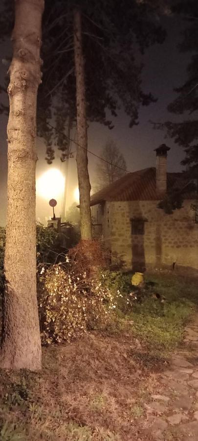 Guesthouse Elaia Synikia Mesi Trikalon Екстер'єр фото