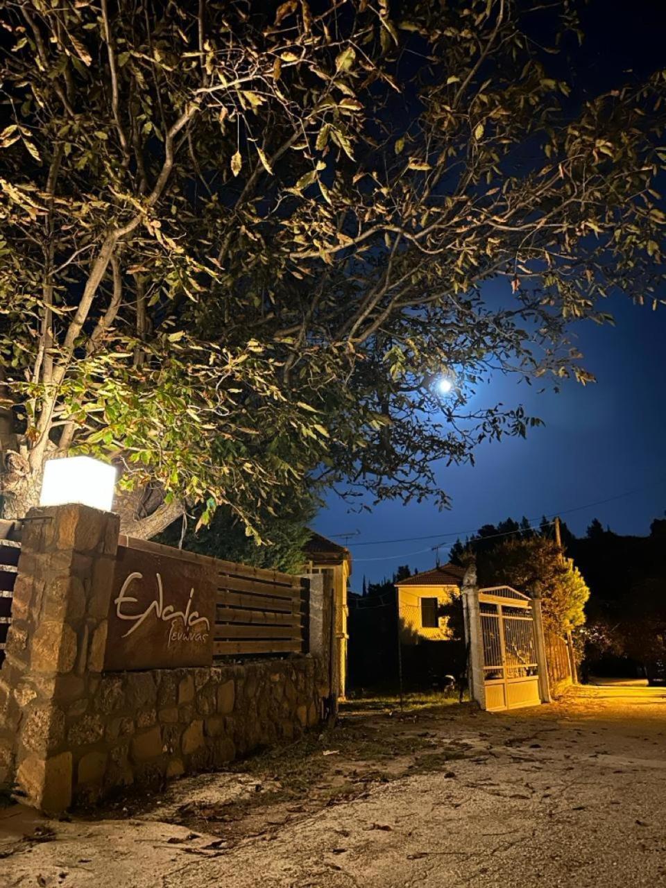 Guesthouse Elaia Synikia Mesi Trikalon Екстер'єр фото