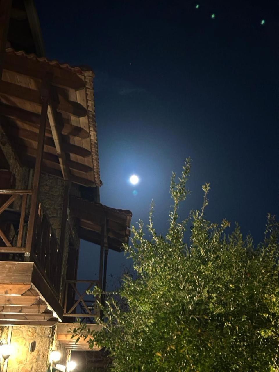 Guesthouse Elaia Synikia Mesi Trikalon Екстер'єр фото