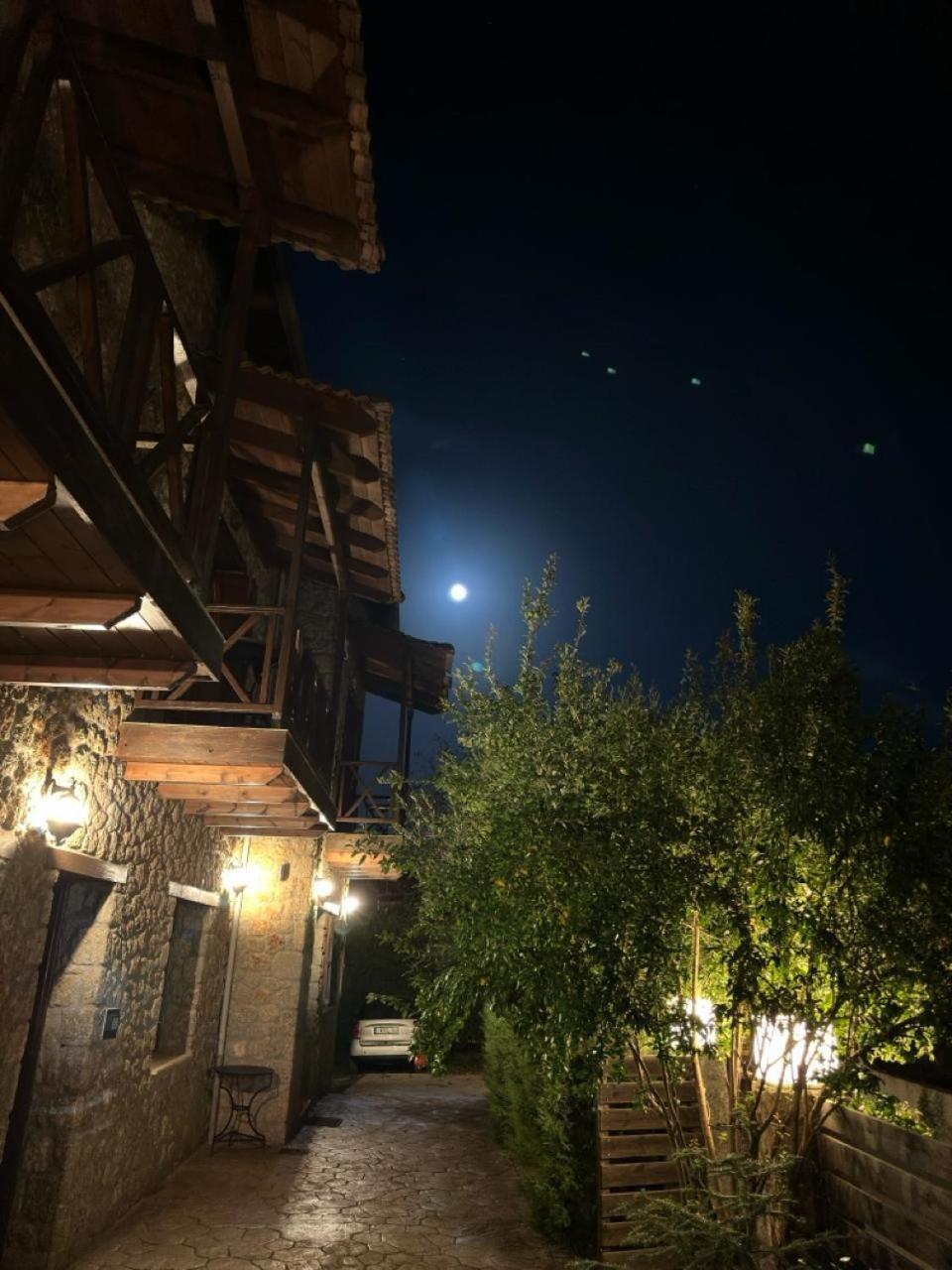 Guesthouse Elaia Synikia Mesi Trikalon Екстер'єр фото