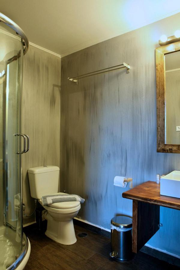 Guesthouse Elaia Synikia Mesi Trikalon Екстер'єр фото